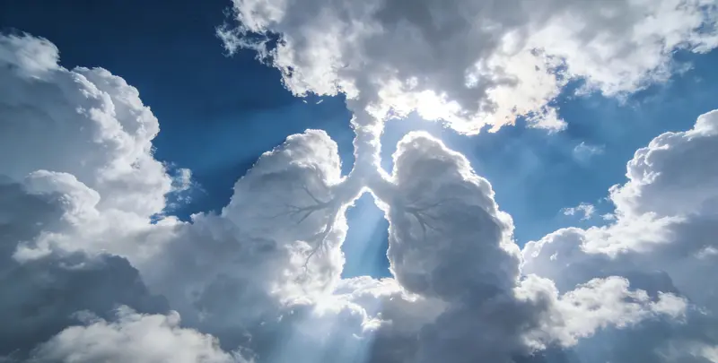 滁州肺癌13基因突变检测（组织）图片1