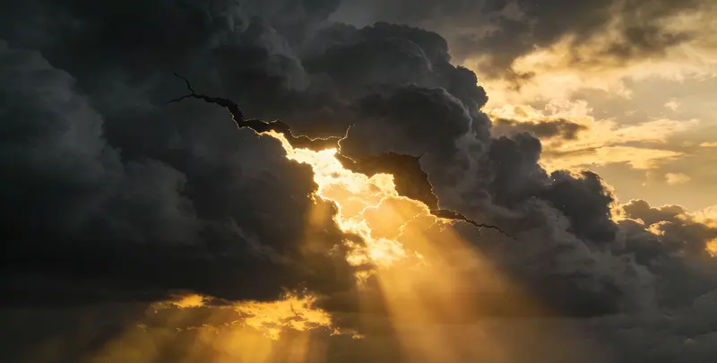 滁州肺癌靶向120基因检测（组织）图片1