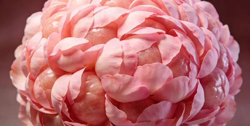 滁州BRCA1/2乳腺癌卵巢癌基因检测图片1